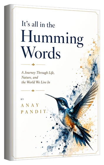 3D mockup of the book It's All in the Humming Words